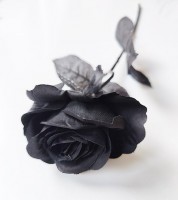Künstliche Rose - schwarz - 50 cm