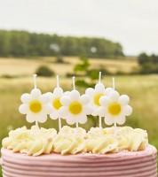 Kuchenkerzen "Daisy" - 5 Stück